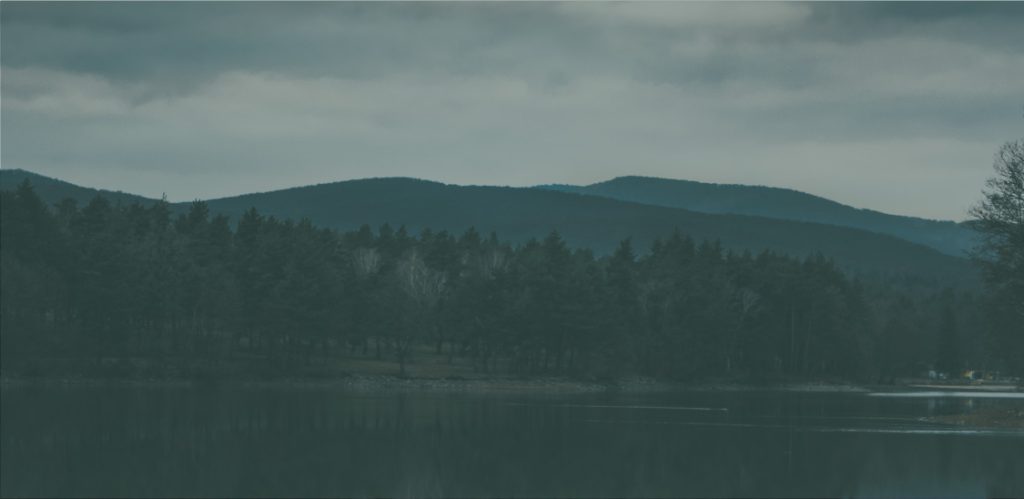 coachingspraktijk-natuurlijk-bewegen